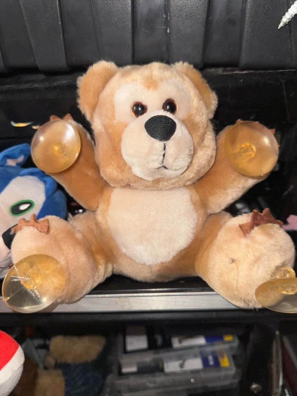 Dakin Monday Is A Bear Window Suction Cup Plush Stuffed Animal